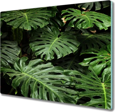 Produktbild von Coloray Kochplattenabdeckung Herdabdeckplatte 60x52 cm Hackbrett Schneidebrett Küchenbrett - Pflanzenblätter