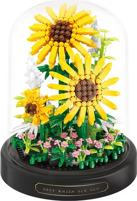 Produktbild von Blöcke Blumen Wald Im Glas Makroklima Dekoration Geschenk Sonnenblumen