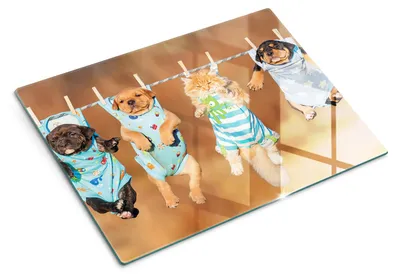 Imagen del producto de Tabla de cortar de vidrio - 40x30 cm - Tabla para la cocina - Vidrio templado - Protector para encimeras - Tabla para servir - Resistente al calor - Apta para cachorros y gatos
