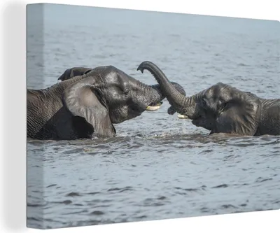 Produktbild von OneMillionCanvasses® - Leinwandbilder - 140x90 cm, Elefant - Fluss - Wasser, Wandbilder Kunstdruck Wanddekoration
