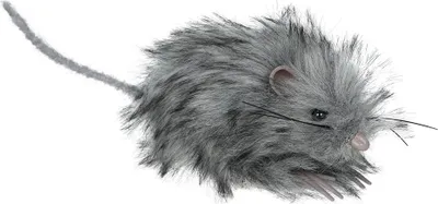 Produktbild von Tierisch Entdeckerratte Halloween Deko Grau Fell Grusel Ratte, Farbe: Grau