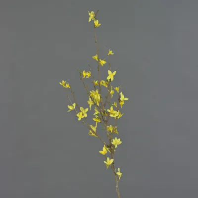 Produktbild von artplants.de Künstlicher Forsythienzweig IHRA, 40 Blüten, gelb, 90cm - Kunstzweig Forsythia - Goldglöckchen künstlich