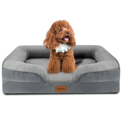 A dog sitting on a dog bed.