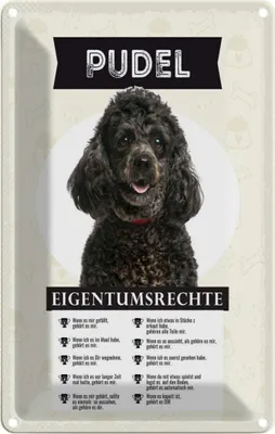 Produktbild von vianmo Blechschild 30x20 cm Pudel Eigentumsrechte Hund