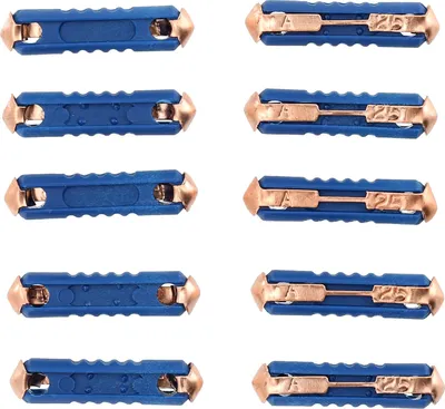 Obrázek produktu pro Sada: 10x pojistka 25A, modrá