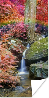 Produktbild von MuchoWow® Poster Regenbogen - Wasserfall - Bäume - Steine - Moos 20x40 cm - Plakat - Foto