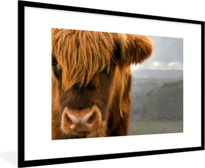 Produktbild von MuchoWow® MuchoWow® Gerahmtes Poster Schottisches Hochlandrind - Orange - Nase 90x60 cm - Poster mit zchwarzem Bilderrahmen - Wanddekoration - Fotos