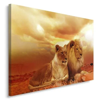 Produktbild von Leinwandbild löwenpaar tiere 120x80 cm Feeby orange wandbild bereit zum aufhängen