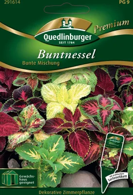 Produktbild von Quedlinburger Saatgut - Buntnessel Bunte Mischung - Samen - 291614