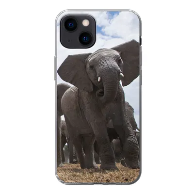Produktbild von MuchoWow® Handyhülle Schutzhülle Hülle für iPhone 13 mini Elefant - Tiere - Natur - Flachland Silikon Softcase Handy Hülle - Softcase