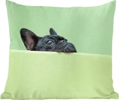 Produktbild von MuchoWow® Zierkissen Sofakissen Wohnzimmer Dekokissen 45x45 cm Französische Bulldogge - Grün - Schwarz - Schlafpolster - Polster für das Sofa