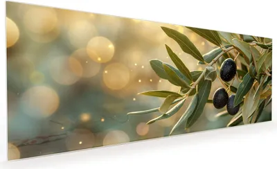 Produktbild von Küchenrückwand Spritzschutz Glas mit Motiv Olivenzweig 40 x 40 cm