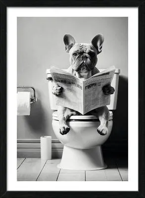 Produktbild von Gerahmtes Bild Lustige Bulldogge 53x73 cm