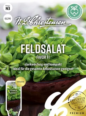 Produktbild von [STREICHUNG 2026] Feldsalat Favor F1 | Feldsalatsamen von N.L. Chrestensen