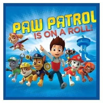 Produktbild von Paw Patrol Magisches Handtuch Gesichtstuch, Handtuch 30x30cm