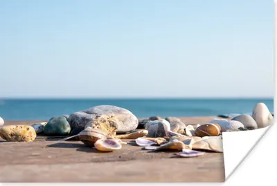 Produktbild von MuchoWow® Poster Muscheln - Strand - Meer - Sommer - Sonne 120x80 cm - Bilder