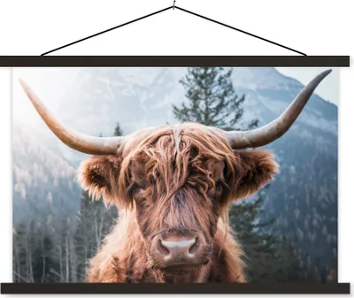 Produktbild von MuchoWow® Textilposter Schottisches Hochlandrind - Berge - Porträt 150x100 cm mit schwarzem Rahmen - Schlafzimmer
