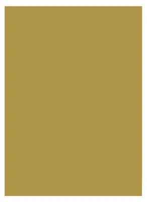 Produktbild von Folia Tonpapier DIN A3 130 g/m? - 130 g/m²