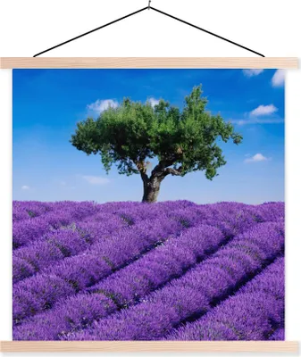 Produktbild von MuchoWow® Textilposter Eine Nahaufnahme eines Lavendelfeldes 120x120 cm mit holzfarbenen Rahmen - Textil-Poster