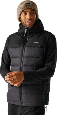 Image de Gilet Regatta Aldthorn Noir L Homme Noir L