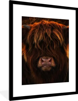 Produktbild von MuchoWow® Gerahmtes Poster Schottischer Highlander - Kuh - Schwarz - Porträt 60x80 cm - Poster mit Schwarzem Bilderrahmen Wandposter Rahmen Foto Bilder - Wohnzimmer - Dekorationen - Prämie