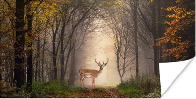 Produktbild von MuchoWow® Poster Hirsch - Baum - Wald 40x20 cm - Poster für die Wand - Poster Schlafzimmer
