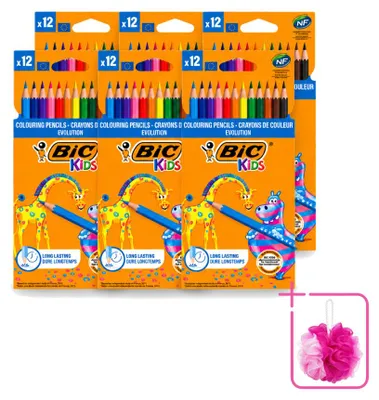 Image de 6 crayons de couleur BIC Kids Evolution - 12 couleurs - Pack économique - 6 pièces