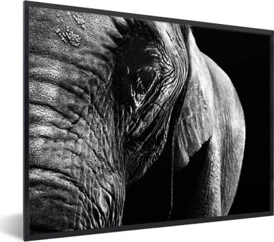 Produktbild von MuchoWow® Gerahmtes Poster Nahaufnahme eines Elefanten auf einem dunklen Hintergrund - schwarz und weiß 40x30 cm - Poster mit Schwarzem Bilderrahmen Wandposter Rahmen Foto Bilder - Kunstposter - Wanddekorationen