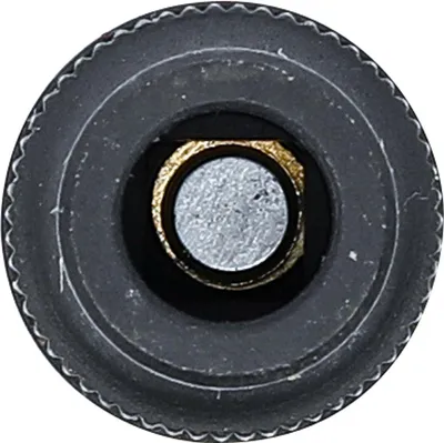 Immagine prodotto di BGS portamaschi inserto per chiave 10 mm (3/8") 6,4 mm - 72104