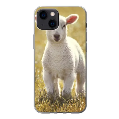 Produktbild von MuchoWow® Handyhülle Schutzhülle Hülle für iPhone 13 mini Schafe - Gras - Sonne Silikon Softcase Handy Hülle - Softcase