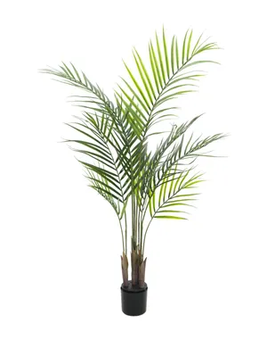 Image de EUROPALMS Aréca à grandes feuilles, plante artificielle, 125cm (82509440)