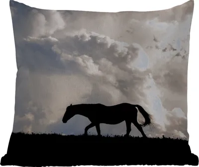 Produktbild von MuchoWow® Outdoor Kissen - Pferd - Wolken - Schatten - 60x60 cm - Wetterfest - Lounge Kissen - Dekoration - Schlaf Kissen