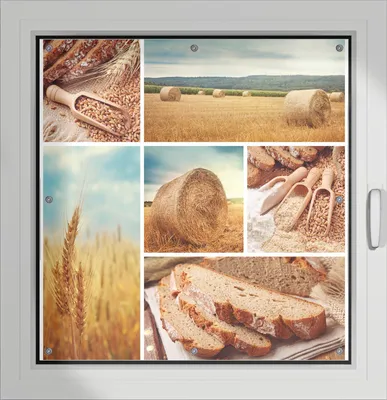 Produktbild von Wallario Lichtschutzbild, Dekorativer Sichtschutz Sonnenschutz 96 x 93 cm mit Motiv: Weizen und Mehl  Vom Korn zum Brot - Verdunklung ohne Bohren