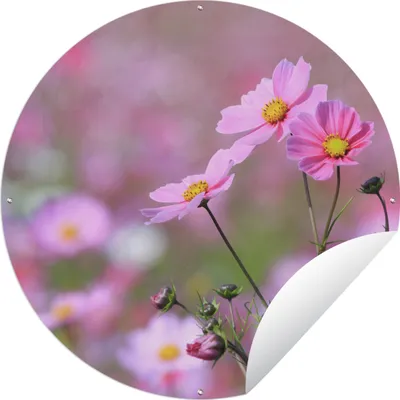 Produktbild von MuchoWow® Gartenposter Outdoor-Poster Rund Blumen - Draußen - Rosa Ø 90 cm Gartendeko Rundes Poster draußen