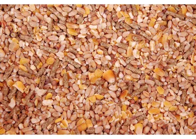 Zdjęcie produktu dla Wielink Scharrelmix, 20 kg