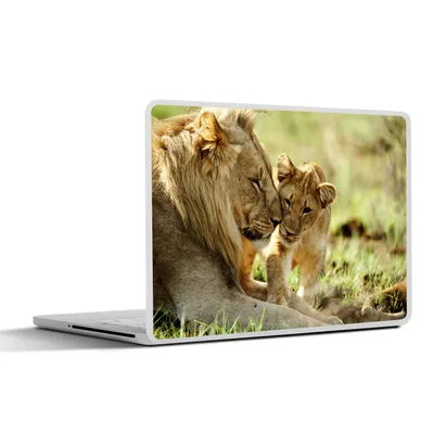 Produktbild von MuchoWow® Laptop Aufkleber Sticker Cover Wilde Tiere - Löwen - Gras 30x21 cm - Sticker für Laptop - Selbstklebend