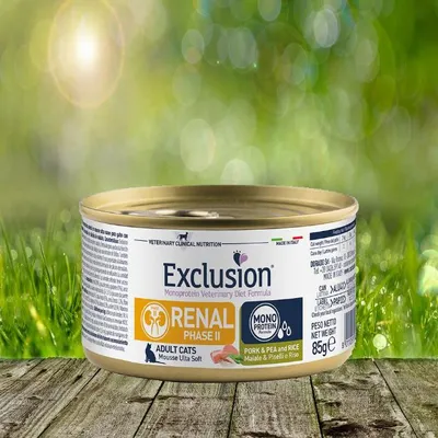 Image de Alimentation rénale pour chats, saveur porc et petits pois, phase II, 24 x 85 g, nourriture humide pour chats