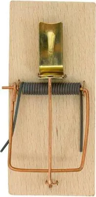 Image de Souricière en bois, standard
