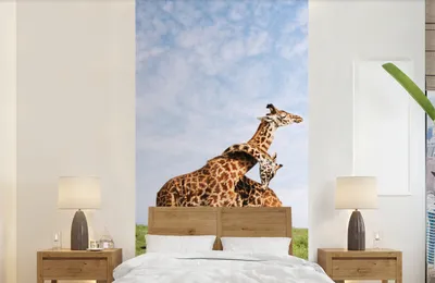 Produktbild von Afrika- Wanddeko Giraffen Savanne Deko 120x240 cm