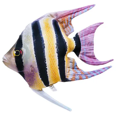 Produktbild von Gaby The Freshwater Angelfish Multicolor One Size