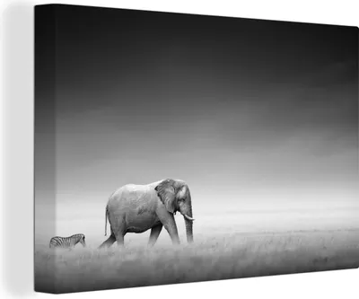 Produktbild von OneMillionCanvasses® - Leinwandbilder - 140x90 cm, Elefant - Tiere - Landschaft - Schwarz und weiß - Zebra, Wandbilder Kunstdruck Wanddekoration - Foto auf Leinwand - Gemälde auf