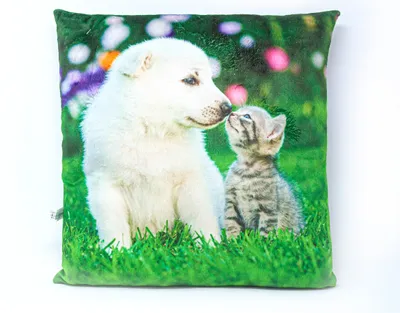 Produktbild von Stoffkissen - Welpe und Kitten - 35x35