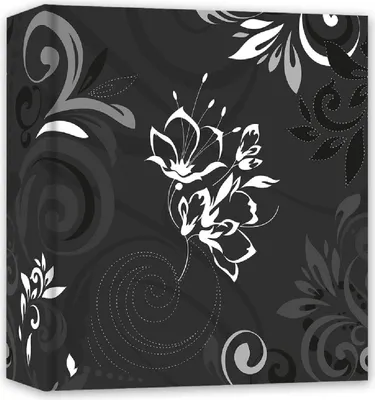 Produktbild von ZEP EB46200B, Schwarz, Karton, 10 x 15 cm, 100 x 150 mm, 252 mm, 195 mm