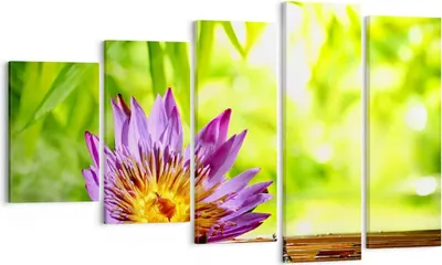 Produktbild von Bild auf Leinwand - Leinwandbild - Asien spa bambus blume - 100x60cm - Wand Bild - Wanddeko - Leinwanddruck - Bilder - Kunstdruck - Wanddekoration - Leinwand bilder - Wandkunst - EG100x60-2476