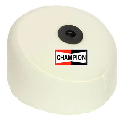 Immagine prodotto di Filtro aria Champion Y300*