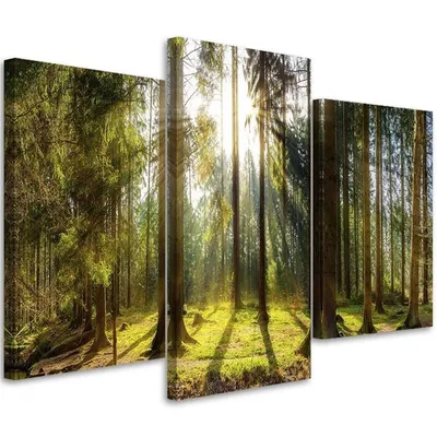 Obrázek produktu pro Triptych na plátně slunečný den v lese 150x100 cm Feeby zelená nástěnná malba připravená k zavěšení