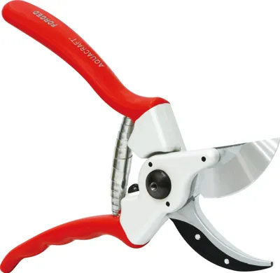 Produktbild von AQUACRAFT® Astschere 330500, Garten, geschmiedet, mit Gürteltasche