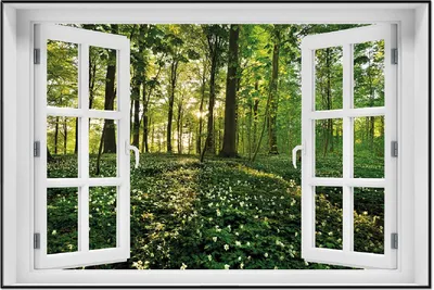 Produktbild von Wallario Wandbild mit Fenster-Illusion: Waldanemonen und Sonnenstrahlen im Wald, Größe: 61 x 91,5 cm, Poster mit schwarzem Aluminiumrahmen