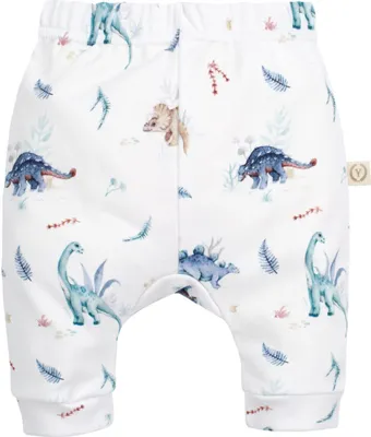 Produktbild von Babyhose Größe 62 mit Dinosaurier-Motiv aus extrem weicher, langlebiger Baumwolle