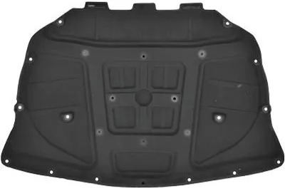 Produktbild von DIEDERICHS 8812250 Motorraumdämmung für BMW 5 Touring (F11) Motorhaube Motorhaubendämmung